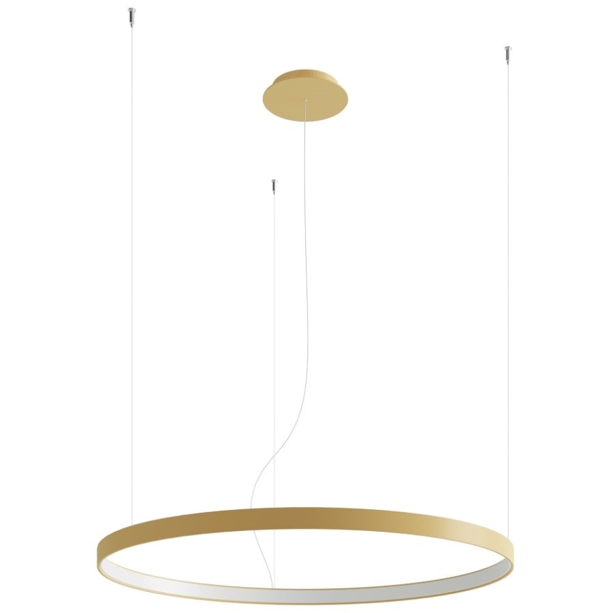 Thoro TH.181 - LED  Lustr na lanku RIO LED /50W/230V CRI 95 4000K pr. 78 cm zlatá